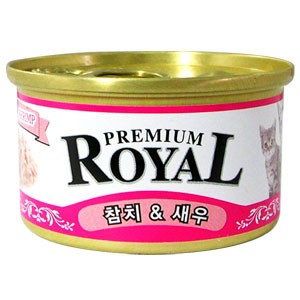 ǰ 